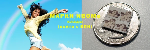 ГАЛЛЮЦИНОГЕННЫЕ ГРИБЫ Гусев