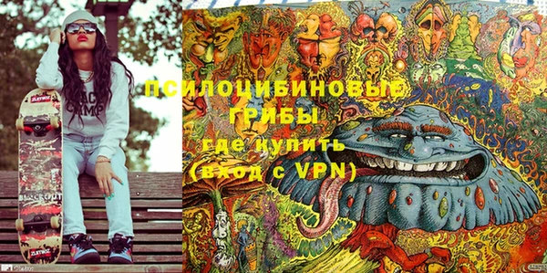 гидропоника Алзамай