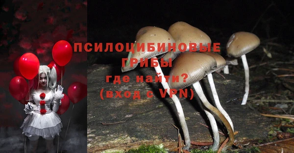 PSILOCYBIN Алексин