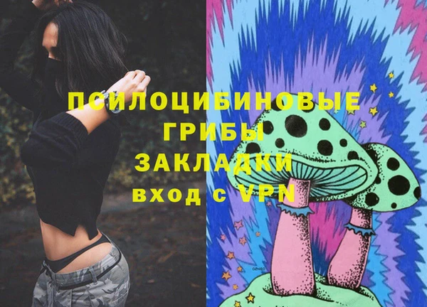 PSILOCYBIN Алексин
