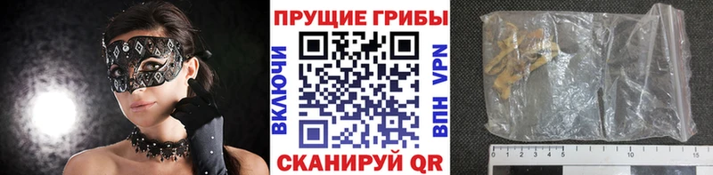 блэк спрут маркетплейс  Алексеевка  Псилоцибиновые грибы мицелий 