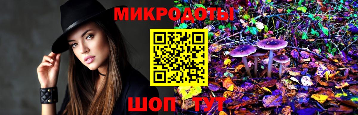 Алексеевка  Галлюциногенные грибы Cubensis  наркота  Вход с VPN 