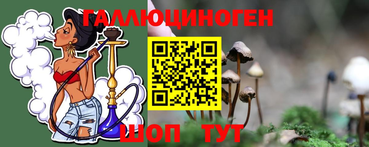 Галлюциногенные грибы Magic Shrooms Алексеевка