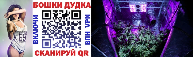 Марихуана OG Kush Алексеевка